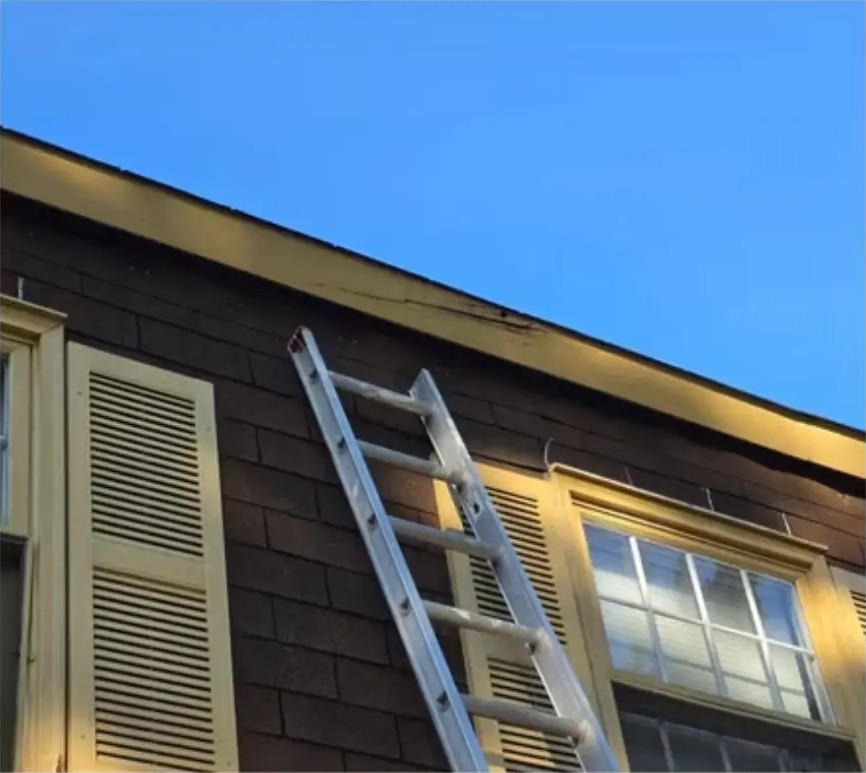 Before exterior painting: roofline trim and shutters with a ladder against the house